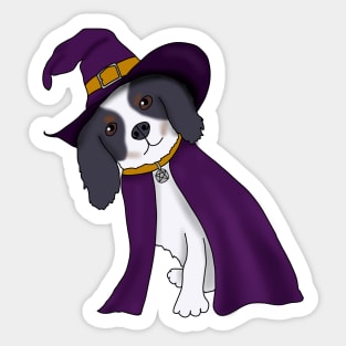 Puppy Witch (tricolor cavalier king charles spaniel) Sticker